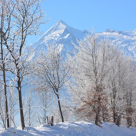Apartment Mountain Panorama By Z-K-H Rentals Zell am See Luaran gambar