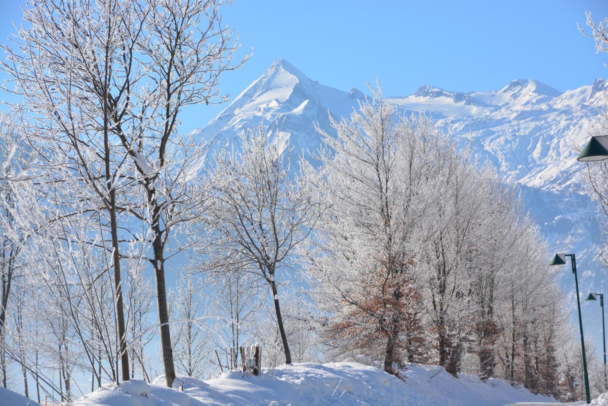 Apartment Mountain Panorama By Z-K-H Rentals Zell am See Luaran gambar